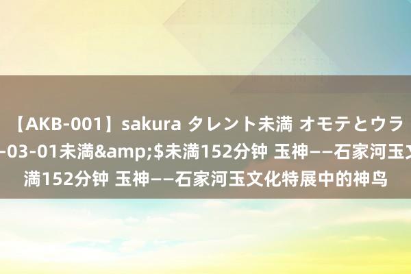 【AKB-001】sakura タレント未満 オモテとウラ</a>2009-03-01未満&$未満152分钟 玉神——石家河玉文化特展中的神鸟