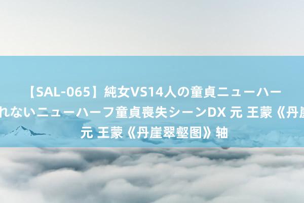 【SAL-065】純女VS14人の童貞ニューハーフ 二度と見れないニューハーフ童貞喪失シーンDX 元 王蒙《丹崖翠壑图》轴