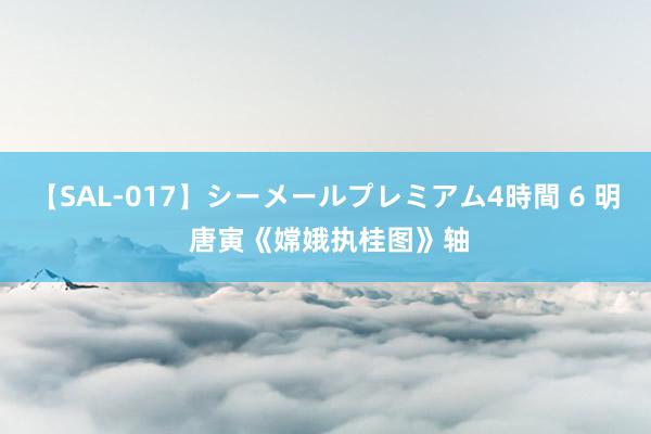 【SAL-017】シーメールプレミアム4時間 6 明 唐寅《嫦娥执桂图》轴