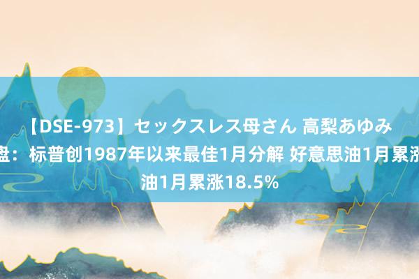 【DSE-973】セックスレス母さん 高梨あゆみ 隔夜外盘：标普创1987年以来最佳1月分解 好意思油1月累涨18.5%