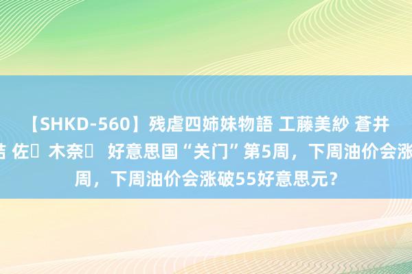 【SHKD-560】残虐四姉妹物語 工藤美紗 蒼井さくら 中谷美結 佐々木奈々 好意思国“关门”第5周，下周油价会涨破55好意思元？