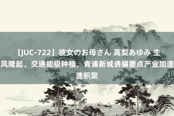 【JUC-722】彼女のお母さん 高梨あゆみ 生态上风隆起、交通能级种植，青浦新城诱骗要点产业加速积聚