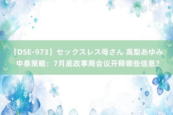 【DSE-973】セックスレス母さん 高梨あゆみ 中泰策略：7月底政事局会议开释哪些信息？