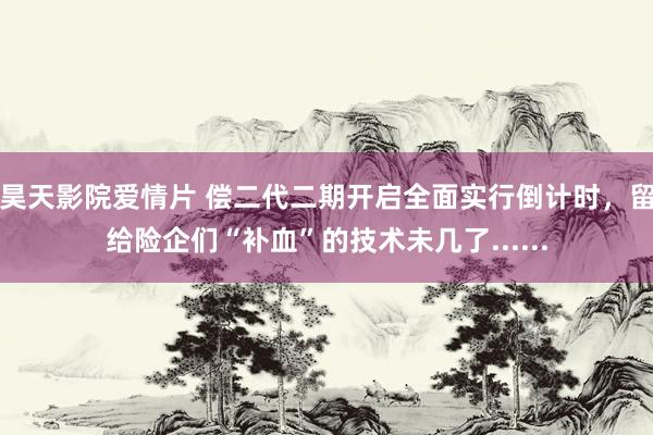 昊天影院爱情片 偿二代二期开启全面实行倒计时，留给险企们“补血”的技术未几了......