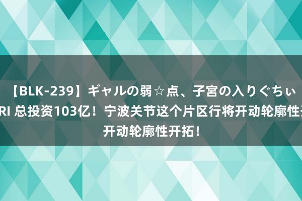 【BLK-239】ギャルの弱☆点、子宮の入りぐちぃ EMIRI 总投资103亿！宁波关节这个片区行将开动轮廓性开拓！