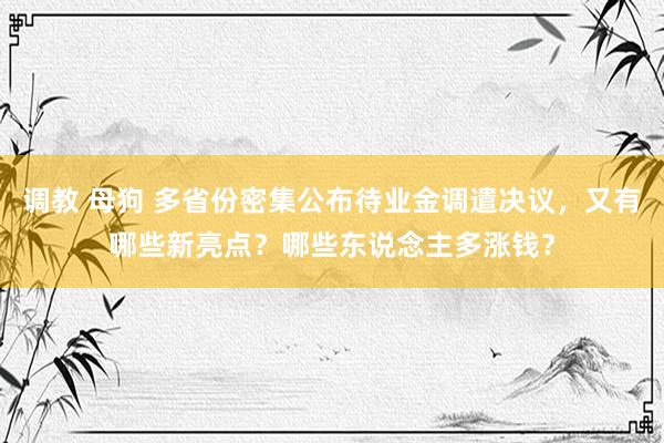 调教 母狗 多省份密集公布待业金调遣决议，又有哪些新亮点？哪些东说念主多涨钱？