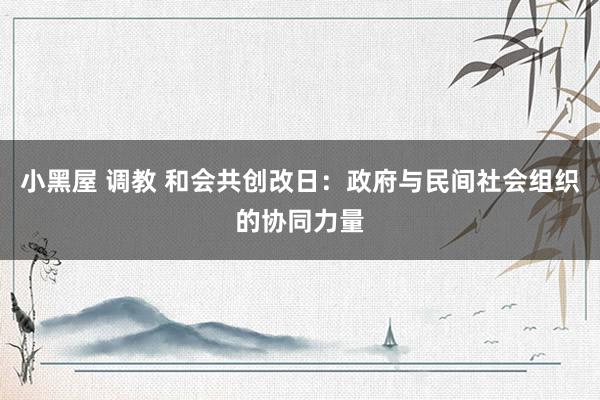 小黑屋 调教 和会共创改日：政府与民间社会组织的协同力量