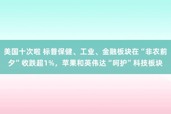 美国十次啦 标普保健、工业、金融板块在“非农前夕”收跌超1%，苹果和英伟达“呵护”科技板块