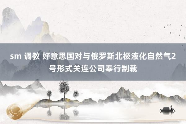 sm 调教 好意思国对与俄罗斯北极液化自然气2号形式关连公司奉行制裁