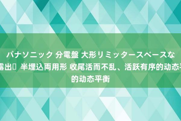 パナソニック 分電盤 大形リミッタースペースなし 露出・半埋込両用形 收尾活而不乱、活跃有序的动态平衡