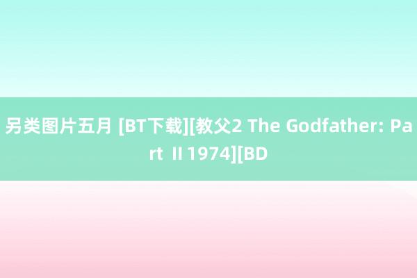 另类图片五月 [BT下载][教父2 The Godfather: Part Ⅱ1974][BD