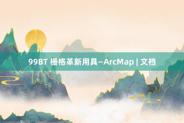 99BT 栅格革新用具—ArcMap | 文档