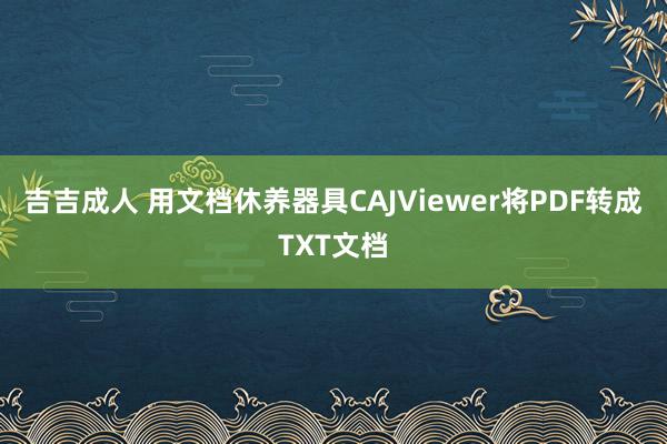 吉吉成人 用文档休养器具CAJViewer将PDF转成TXT文档